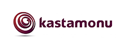 Логотип kastamonu
